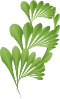 flor hoja botánico planta antiguo ornamento decorativo abstracto fondo arte gráfico diseño modelo ilustración png