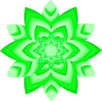 flor flor pétala botânica folha planta ornamento decorativo abstrato arte design gráfico ilustração padrão png