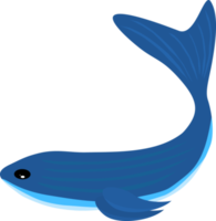 Whale dolphin fish swim underwater sea for decorative png