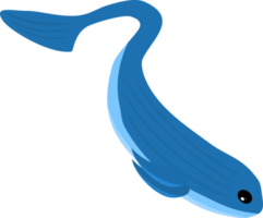 baleine dauphin poisson nager sous l'eau mer pour la décoration png