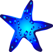 Starfish undersea ocean sea for decorative png