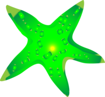 estrela do mar oceano submarino para decoração png
