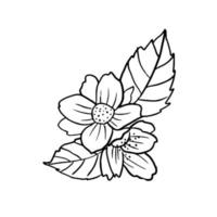 Flower and leaves in hand drawn doodle style. Floral sketch isolated on white background. vector
