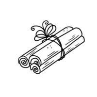 Cinnamon sticks in hand drawn doodle style. Cinnamon pods sketch. Isolated vector illustration.