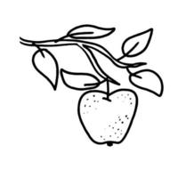 Hand drawn apple on branch in doodle style. Apple sketch illustration for print, web, mobile and infographics. Vector illustration isolated on white background.