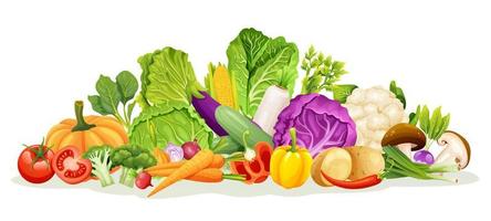 Set of various kinds of vegetable illustrations vector