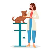 cita con el médico veterinario. una veterinaria trata a un perro. cuidado de mascotas, diagnóstico médico animal. ilustración vectorial plana vector