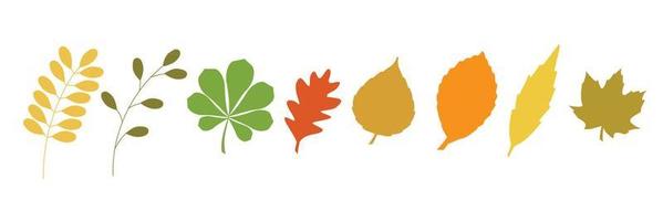 Autumn leaves set, isolated on white background. Simple cartoon flat style. Isolated vector illustration. Design for stickers, logo, web and mobile app.