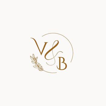 VB initial wedding monogram logo vector