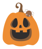 etiqueta engomada de halloween. gato de calabaza con araña png