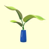 Vector banana leaves in a vase in a flat style