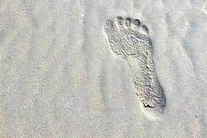 Footprints in the sand photo