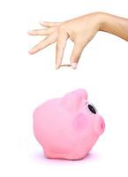 Hand putting coin into the pink piggy bank photo