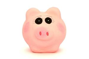 Pink Piggy Bank photo