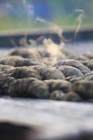 Drying Sea Cucumber Outdoor photo