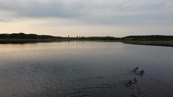 Aerial and High Angle Image Cute Water Birds are Swimming in the Stewartby Lake of England UK on Beautiful Early Morning at Sunrise photo