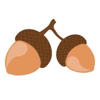 Acorn, oak nut, seed. Made in cartoon flat style. Vector illustration