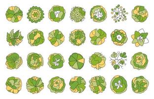 Tree for architectural floor plans. Entourage design. Various trees, bushes, and shrubs, top view for the landscape design plan. vector