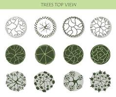 árbol para planos arquitectónicos. diseño de séquito. varios árboles, arbustos y arbustos, vista superior para el plan de diseño del paisaje. vector