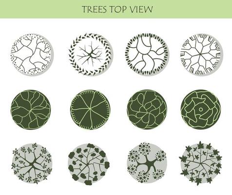 Tree for architectural floor plans. Entourage design. Various trees, bushes, and shrubs, top view for the landscape design plan.