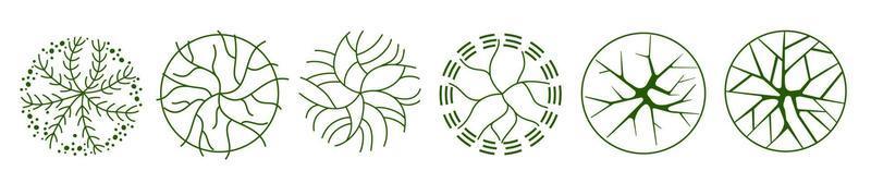 Tree for architectural floor plans. Entourage design. Various trees, bushes, and shrubs, top view for the landscape design plan. vector