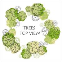 Tree for architectural floor plans. Entourage design. Various trees, bushes, and shrubs, top view for the landscape design plan. vector