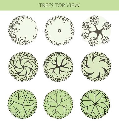 Tree for architectural floor plans. Entourage design. Various trees, bushes, and shrubs, top view for the landscape design plan.