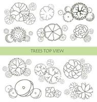 Tree for architectural floor plans. Entourage design. Various trees, bushes, and shrubs, top view for the landscape design plan. vector