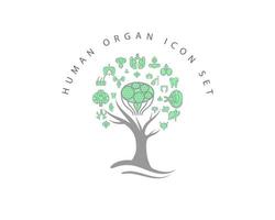 Human organ icon set on white background vector