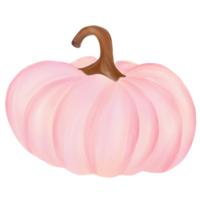 Pink pumpkin watercolor png