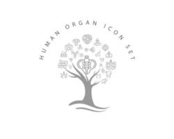 conjunto de iconos de órganos humanos sobre fondo blanco vector