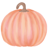 Pastel pumpkin watercolor png