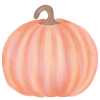 pastell pumpa akvarell png