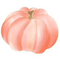 Orange pumpkin watercolor png