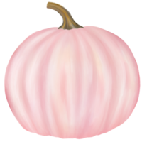 aquarela de abóbora rosa png