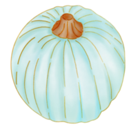 Mint pumpkin watercolor png