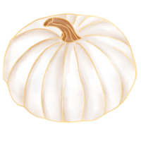 White Fall Pumpkin watercolor png