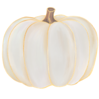 aquarelle de citrouille d'automne blanche png