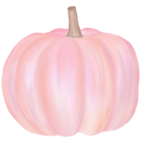 acquerello di zucca rosa png