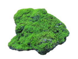 Rock covered in green moss isolated on transparent background for aquatic and garden design usage png