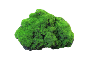 Rock covered in green moss isolated on transparent background png