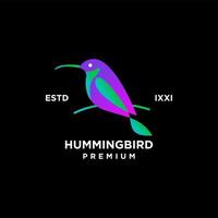 Hummingbird color full logo icon design vector