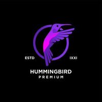 Hummingbird color full logo icon design vector