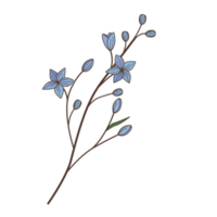 blossom cartoon in filled outline style png