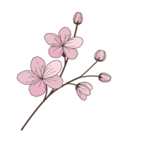 desenho de flor em estilo de contorno preenchido png