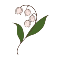 dessin animé de fleurs dans un style de contour rempli png