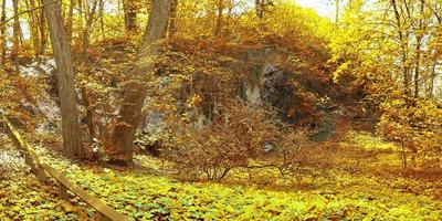 Beautiful panorama view on a golden autumn landscape found in europe photo