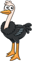 bonito desenho animado asas de avestruz animal avestruz png