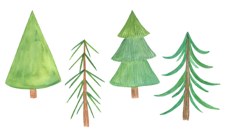 Simple watercolor green Christmas tree set in simple cute cartoon style, decorative evergreen forest tree collection, winter holiday elements useful for end of the year celebrations design png