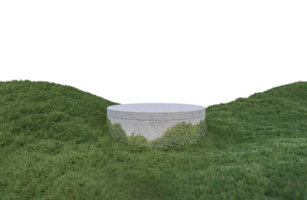 un'immagine di rendering 3d della visualizzazione del prodotto sul campo in erba png